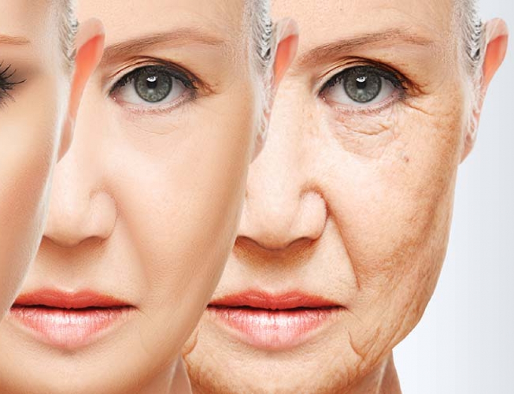 Scientists: This Fruit Promises to Reverse Aging?